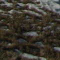 P1028117_corner_crop.jpg