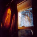holga6.jpg