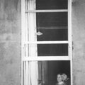 window.jpg