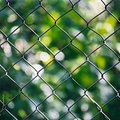 fence.jpg