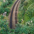 traintracks.jpg