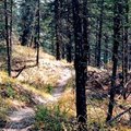 Path1.jpg