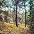 Path3.jpg