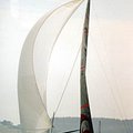 sui_downwind.jpg