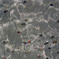 sand_patterns.jpg