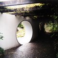 chinese_garden_1.jpg