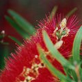 plant_2.jpg