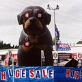 inflatable_dog.jpg