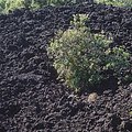 lava_1.jpg