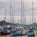 boats_at_gulf_harbour.jpg
