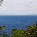 rangitoto_view.jpg