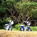 scooters_2.jpg