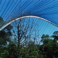bird_enclosure.jpg