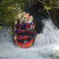 DSC_1550.JPG