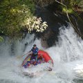 DSC_1551.JPG