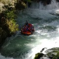 DSC_1552.JPG