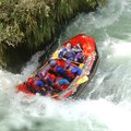 DSC_1554.JPG