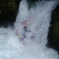 DSC_1612.JPG