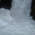 DSC_1613.JPG