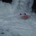DSC_1616.JPG