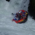 DSC_1620.JPG