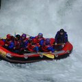 DSC_1627.JPG