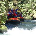 DSC_1635.JPG