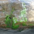 IMG_2728.jpg