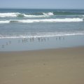 IMG_2732.jpg