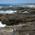 IMG_2750.jpg