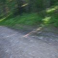 DCP_0986.jpg