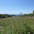 P1030127.jpg