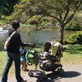 P6142300.jpg