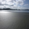 P1030220.jpg