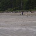 P6182462.jpg