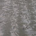 P6182463.jpg