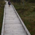 P6202724.jpg
