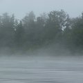 P1030528.jpg