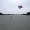 P1030584.jpg