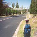 crop0006.jpg
