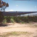 crop0009.jpg
