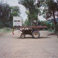 crop0040.jpg