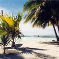 lagoonarium_beach_2.jpg