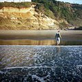 lincoln_city_beach_3.jpg