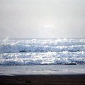 lincoln_city_beach_5.jpg