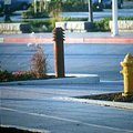 everett_hydrants_1.jpg