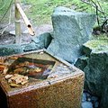 portland_jap_gdn_4.jpg