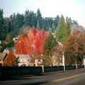 portland_walk_1.jpg