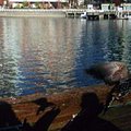 granville_island_2.jpg