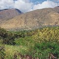 hills_by_beach.jpg